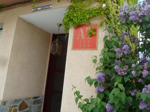 Buitenkant, Apartamentos Casa Modesto in Escalona