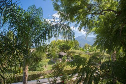 Sunny Garden Apartments - image 2