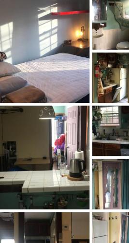 Rock Pad for Yale, Visitors, Nurses, Staff in New Haven, Vereinigte Staaten von Amerika