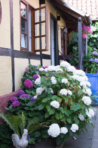 Hotel Klostergaarden