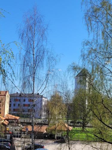 City apartment in Jelgava