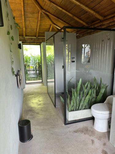 Loft bambu, Envigado (photo 10)