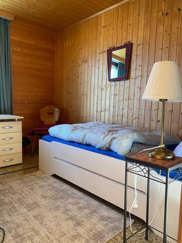 Aparthotel-Almgasthaus Gemsli - A bisal Österreich überm Schweizer Rheintal in Sevelen