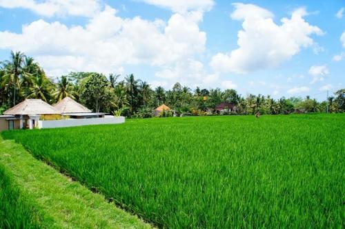 Villa Vinayaga Ubud