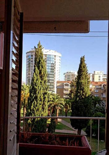 One-Bedroom Apartment image 1