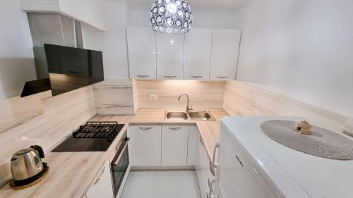 Two Bedroom Apartment  image 10