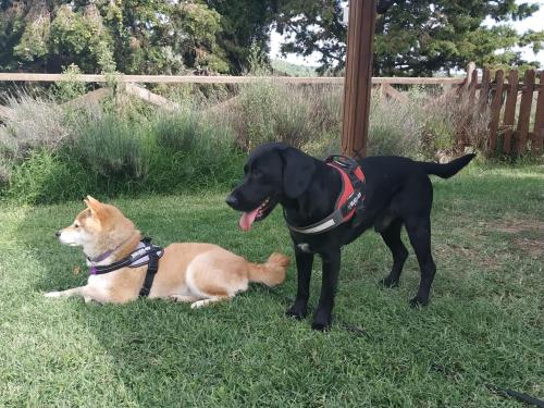 普拉闻卡农家乐