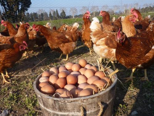 La Ferme Du Midi