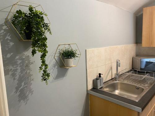 Aspen House - Apartment 3 in 科爾溫灣