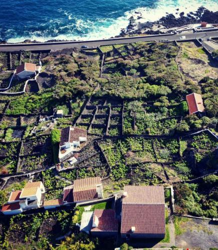 Breathe Nature - Beach House Azores