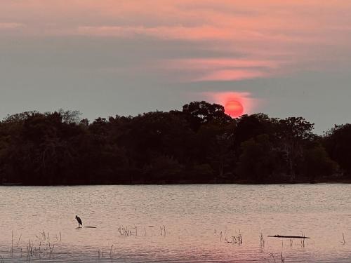 Yala Lake View Cabanas