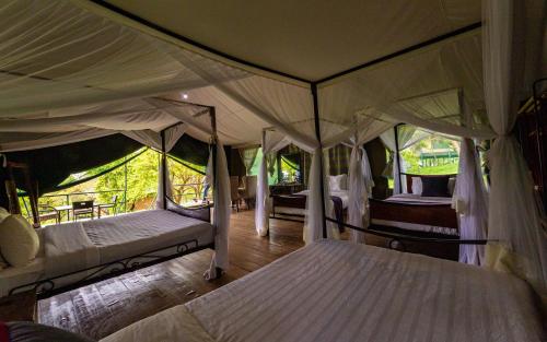 Ngorongoro Wild Camp