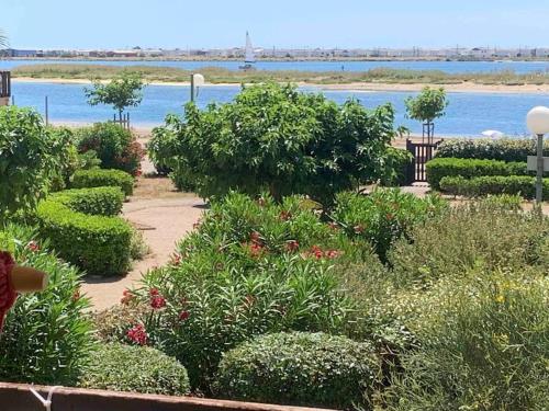 Plage du Grazel & vue sur les Chalets de Gruissan - Location saisonnière - Gruissan