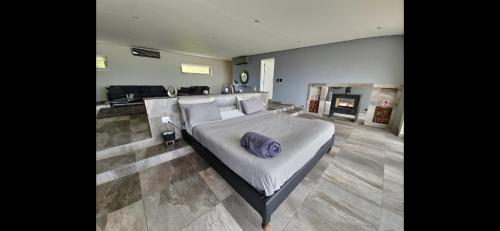 The Llandudno - image 12