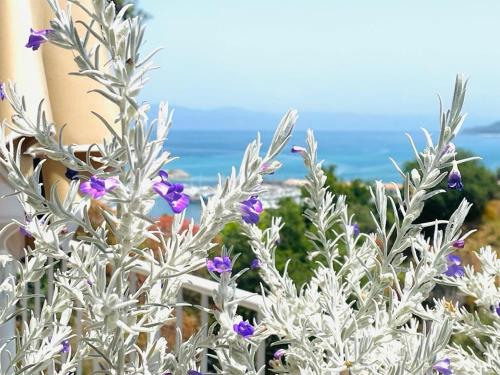 S'O Suites Tropea - image 14
