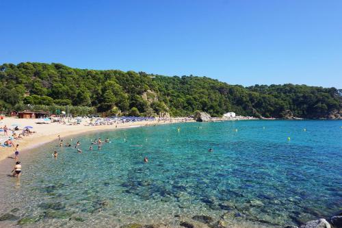 V&V LLORET-APARTAMENTO EUROPA para 6PAX con jardín y piscina comunitaria,barbacoa,150m playa Canyelles