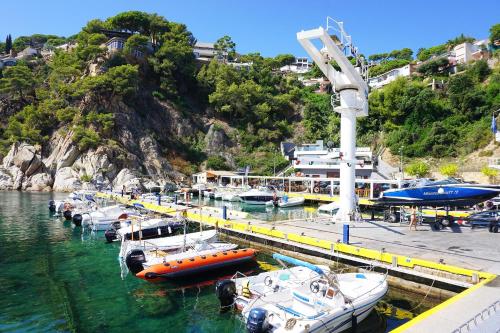 V&V LLORET-APARTAMENTO EUROPA para 6PAX con jardín y piscina comunitaria,barbacoa,150m playa Canyelles