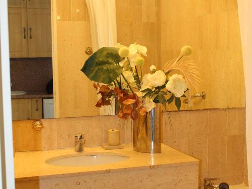 Appartement Villeneuve-Loubet 1 pièce 4 personnes - FR-1-252A-17 - image 12