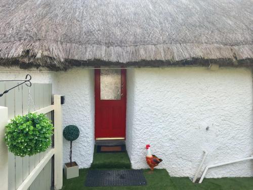 Eddie's Thatched Roadside Cottage in Inishowen