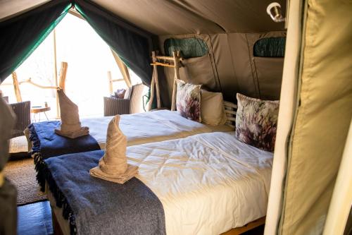 Twyfelfontein Adventure Camp in แดมมาร่าแลนด์