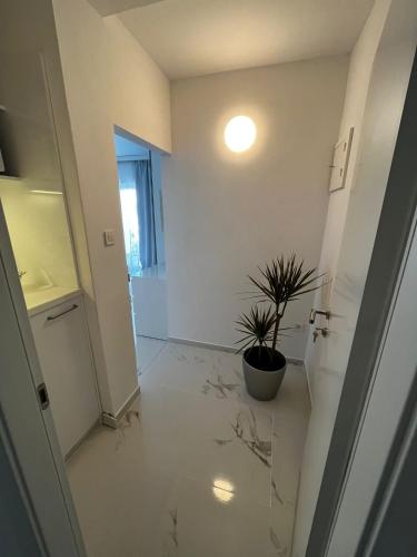  Apartments and Room Anka in Vodice