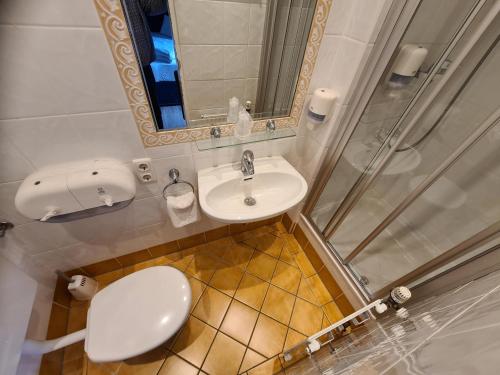 B&B Hallstatt Lake OBERTRAUN self check in Room Type - Small Double Room with Mountain View and Balcony