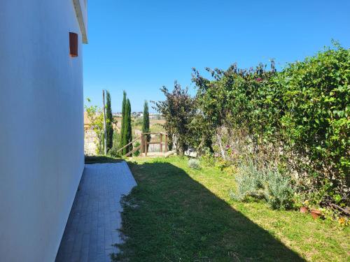 Family house with nice garden 10min from Sanlúcar Family house with nice garden 10min from Sanlúcar