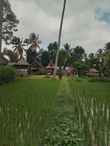 Hakiki Inn Bungalows – Tetebatu, ID