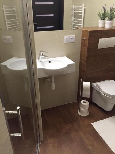 7 Koron - Exclusive Apartments, Cracovie (photo 10)