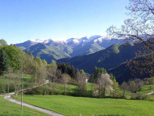 Locanda Il Campo della Quercia - 주변 환경