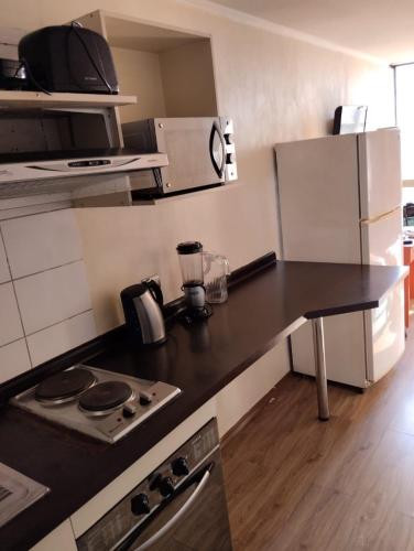 Apartamento amoblado, Estacion Central