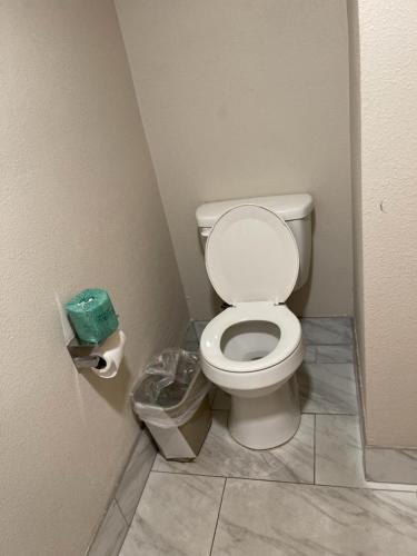 Bear Mount Inn & Suites in Pigeon Forge, USA