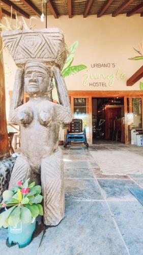 Jungle Hostel & Private Rooms in 聖卡塔利娜