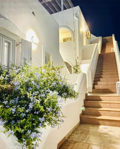 נוף חוץ, Katerina Apartments & Studios in פארוס