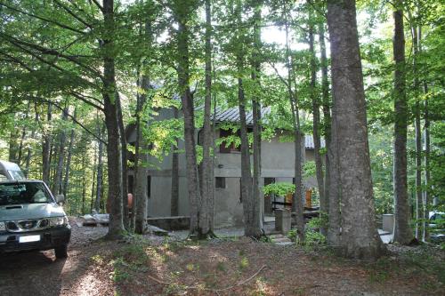 Casa nel bosco alle Macinaie - Monte Labbro