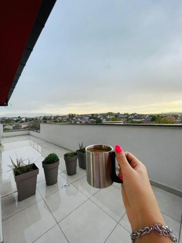Létesítmények, Bojana Apartment Penthouse in Negotino