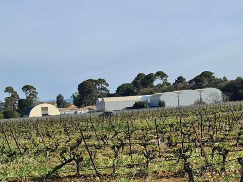 Ch Chevalier, Domaine de la Serre