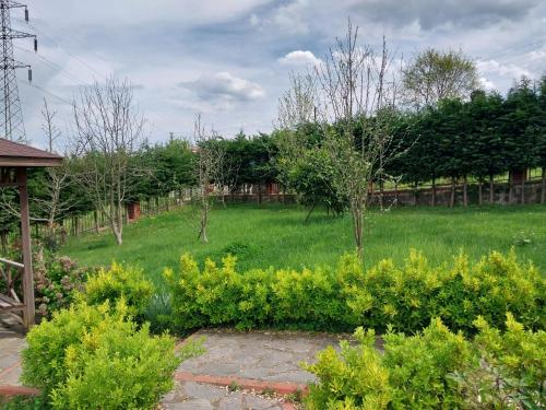 Big garden and sea view villa