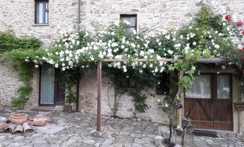  Casa Shalom, Unterkunft in Pennabilli