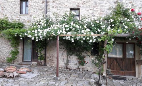 Casa Shalom - Accommodation - Pennabilli