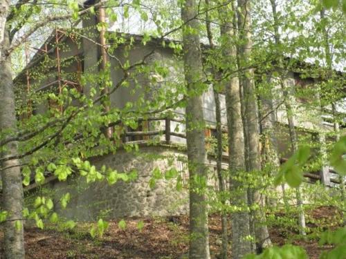  Casa nel bosco alle Macinaie in Monte Amiata