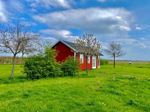 De Heeren Hoeve Carpe Diem Room Type - Vacation Home