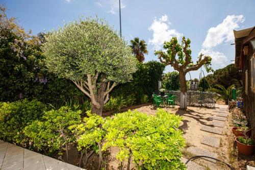 Maravillosa casa con piscina grande y bosque