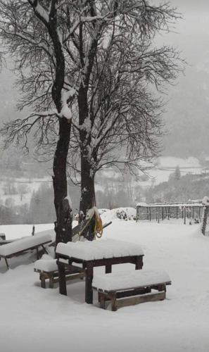 Casa Indipendente Val d'Ayas - Challand Saint Anselme gîte à louer Challand-Saint-Anselme