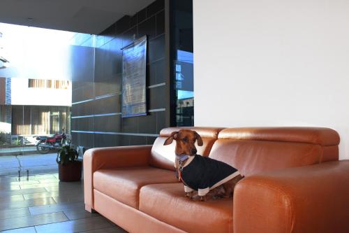 Hotel 3.015 Aquitania in Aquitania