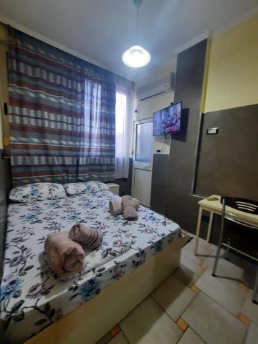 Lovely apt.1-7, Tirana (photo 3)
