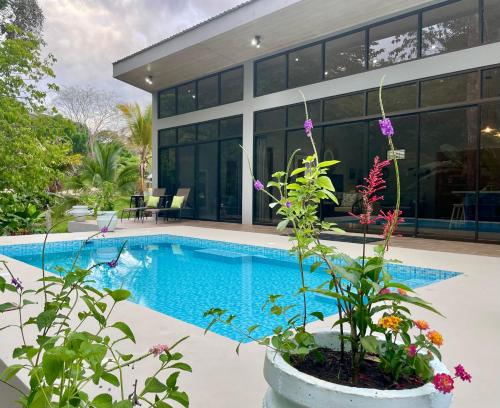 Garden, An abundance of wildlife at Jungle Glory Home Abajo in Quepos