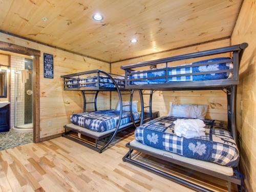 Splashtastic View Lodge 7 Bedroom Private Indoor Pool Theater Sleeps 20 - image 13
