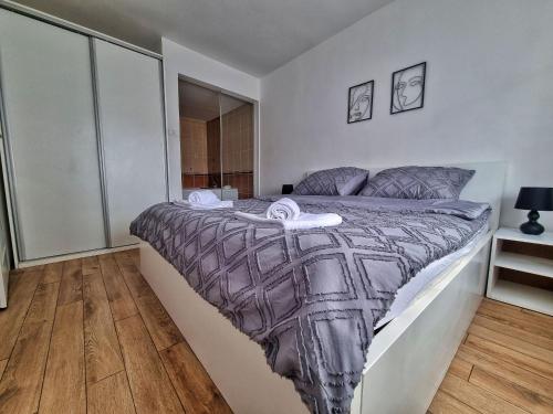 1 king bed, 1 sofa bed