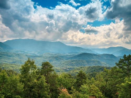 Great Smoky Lodge 7 BR New Construction Pets WiFi Hot Tub Sleeps 20 - image 2